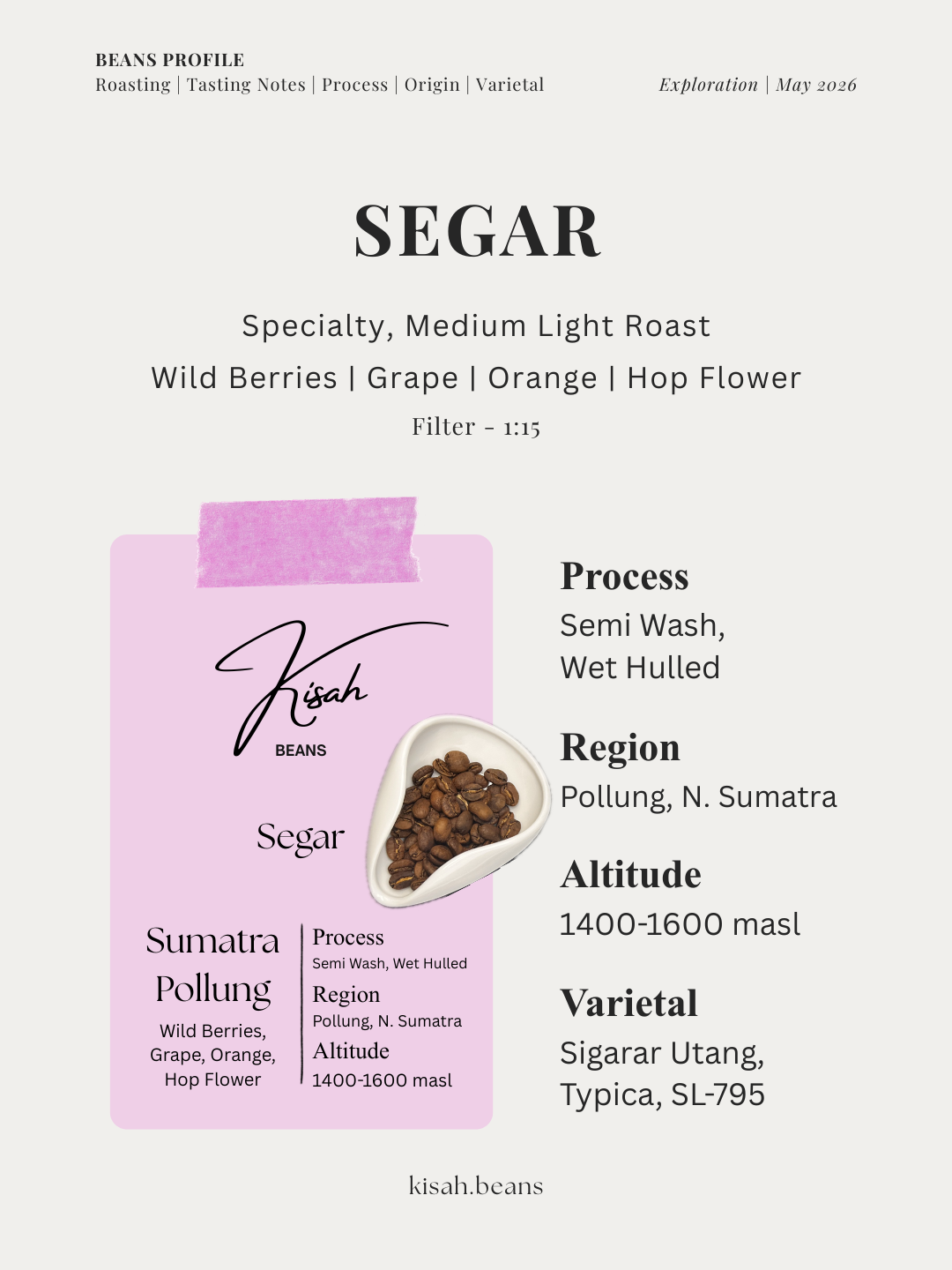 [Exploration] Segar